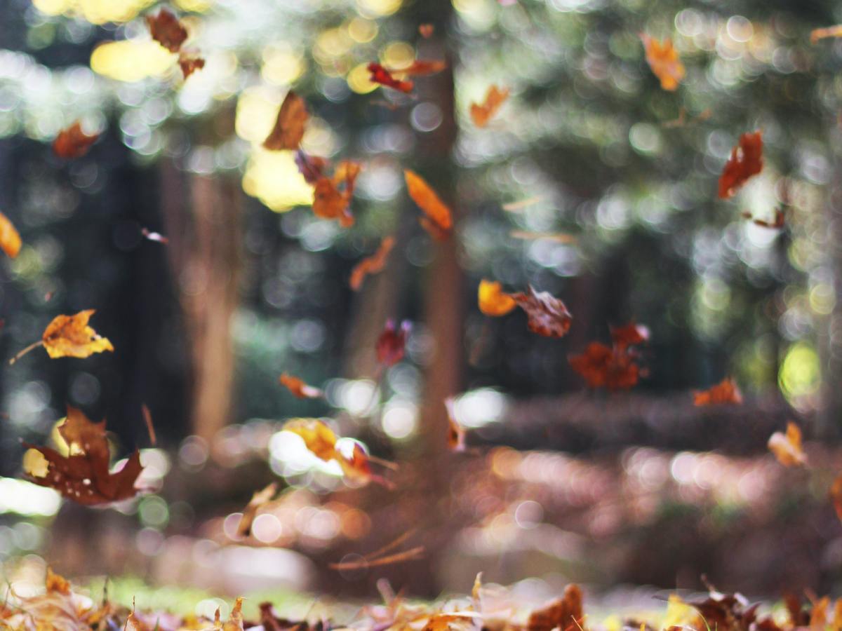 On Recent Criticisms of the Interpersonal Theory of&nbsp;Suicide